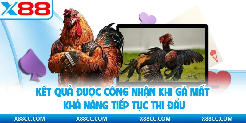 Luật Đá Gà Online X88 Và Các Nguyên Tắc Phân Định Thắng Thua 3 Kết quả được công nhận khi gà mất khả năng tiếp tục thi đấu